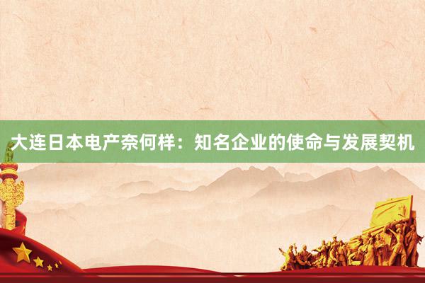 大连日本电产奈何样：知名企业的使命与发展契机
